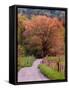 Sparks Lane, Cades Cove, Great Smoky Mountains National Park, Tennessee, USA-Adam Jones-Framed Stretched Canvas