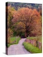 Sparks Lane, Cades Cove, Great Smoky Mountains National Park, Tennessee, USA-Adam Jones-Stretched Canvas