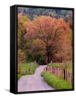 Sparks Lane, Cades Cove, Great Smoky Mountains National Park, Tennessee, USA-Adam Jones-Framed Stretched Canvas