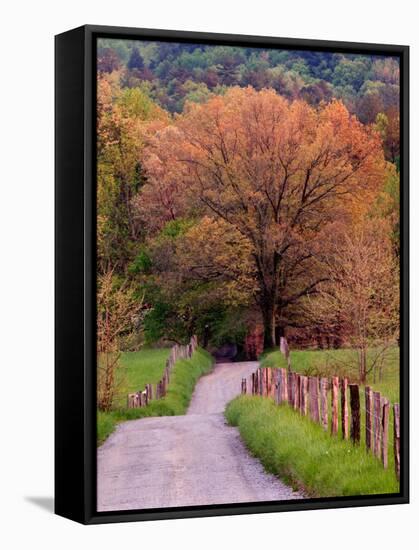 Sparks Lane, Cades Cove, Great Smoky Mountains National Park, Tennessee, USA-Adam Jones-Framed Stretched Canvas