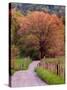 Sparks Lane, Cades Cove, Great Smoky Mountains National Park, Tennessee, USA-Adam Jones-Stretched Canvas