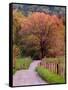 Sparks Lane, Cades Cove, Great Smoky Mountains National Park, Tennessee, USA-Adam Jones-Framed Stretched Canvas