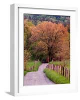 Sparks Lane, Cades Cove, Great Smoky Mountains National Park, Tennessee, USA-Adam Jones-Framed Photographic Print