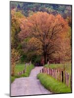 Sparks Lane, Cades Cove, Great Smoky Mountains National Park, Tennessee, USA-Adam Jones-Mounted Photographic Print