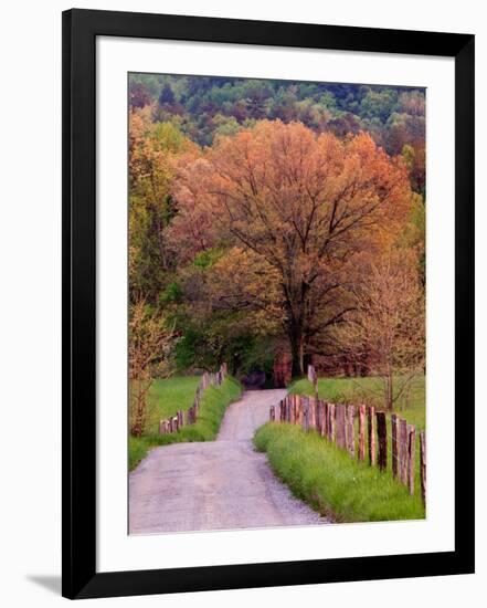 Sparks Lane, Cades Cove, Great Smoky Mountains National Park, Tennessee, USA-Adam Jones-Framed Photographic Print