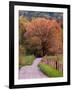 Sparks Lane, Cades Cove, Great Smoky Mountains National Park, Tennessee, USA-Adam Jones-Framed Photographic Print