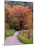 Sparks Lane, Cades Cove, Great Smoky Mountains National Park, Tennessee, USA-Adam Jones-Mounted Photographic Print