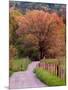 Sparks Lane, Cades Cove, Great Smoky Mountains National Park, Tennessee, USA-Adam Jones-Mounted Photographic Print