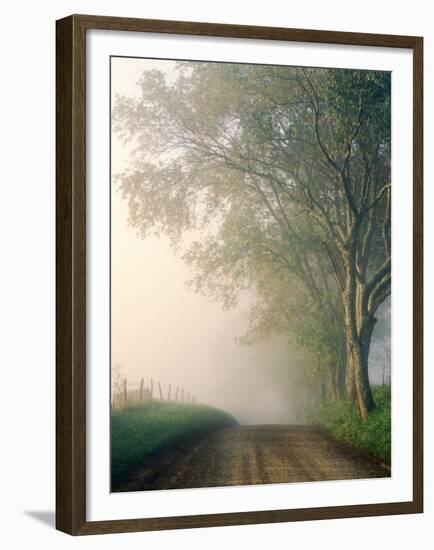 Sparks Lane, Cades Cove, Great Smoky Mountains National Park, Tennessee, USA-Adam Jones-Framed Premium Photographic Print