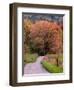 Sparks Lane, Cades Cove, Great Smoky Mountains National Park, Tennessee, USA-Adam Jones-Framed Photographic Print