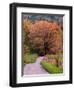 Sparks Lane, Cades Cove, Great Smoky Mountains National Park, Tennessee, USA-Adam Jones-Framed Photographic Print