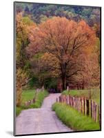 Sparks Lane, Cades Cove, Great Smoky Mountains National Park, Tennessee, USA-Adam Jones-Mounted Photographic Print