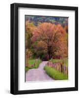 Sparks Lane, Cades Cove, Great Smoky Mountains National Park, Tennessee, USA-Adam Jones-Framed Premium Photographic Print