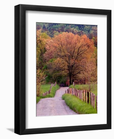 Sparks Lane, Cades Cove, Great Smoky Mountains National Park, Tennessee, USA-Adam Jones-Framed Premium Photographic Print