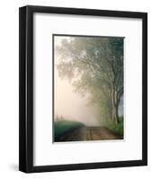 Sparks Lane, Cades Cove, Great Smoky Mountains National Park, Tennessee, USA-Adam Jones-Framed Photographic Print