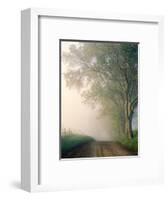 Sparks Lane, Cades Cove, Great Smoky Mountains National Park, Tennessee, USA-Adam Jones-Framed Photographic Print