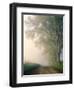 Sparks Lane, Cades Cove, Great Smoky Mountains National Park, Tennessee, USA-Adam Jones-Framed Photographic Print