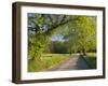 Sparks Lane, Great Smoky Mountains National Park, Tennessee, Usa-Adam Jones-Framed Photographic Print