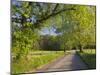 Sparks Lane, Great Smoky Mountains National Park, Tennessee, Usa-Adam Jones-Mounted Photographic Print