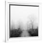 Sparks Lane in Fog-Nicholas Bell-Framed Photographic Print