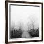 Sparks Lane in Fog-Nicholas Bell-Framed Photographic Print