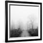 Sparks Lane in Fog-Nicholas Bell-Framed Photographic Print