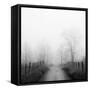 Sparks Lane in Fog-Nicholas Bell-Framed Stretched Canvas
