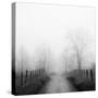 Sparks Lane in Fog-Nicholas Bell-Stretched Canvas
