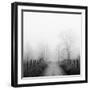 Sparks Lane in Fog-Nicholas Bell-Framed Photographic Print