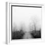 Sparks Lane in Fog-Nicholas Bell-Framed Photographic Print
