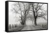 Sparks Lane, Late Autumn-Nicholas Bell-Framed Stretched Canvas