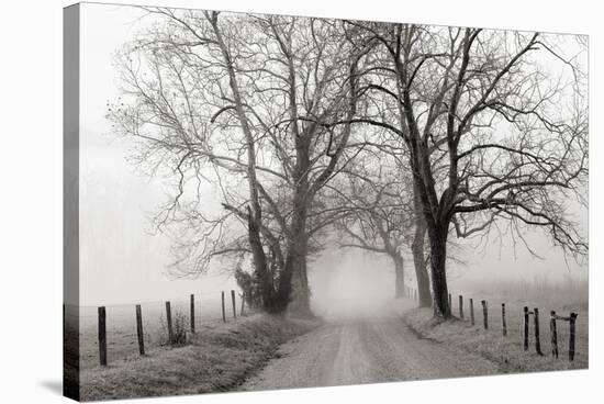 Sparks Lane, Late Autumn-Nicholas Bell-Stretched Canvas