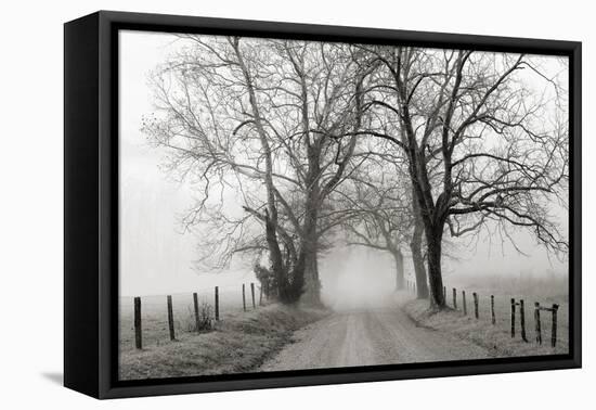 Sparks Lane, Late Autumn-Nicholas Bell-Framed Stretched Canvas