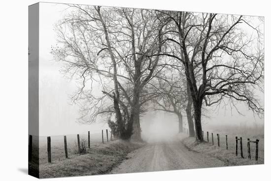 Sparks Lane, Late Autumn-Nicholas Bell-Stretched Canvas