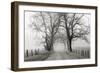 Sparks Lane, Late Autumn-Nicholas Bell-Framed Photographic Print