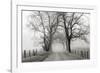 Sparks Lane, Late Autumn-Nicholas Bell-Framed Photographic Print