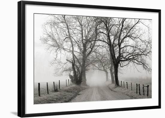 Sparks Lane, Late Autumn-Nicholas Bell-Framed Photographic Print