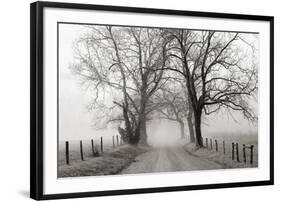 Sparks Lane, Late Autumn-Nicholas Bell-Framed Photographic Print