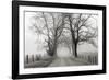 Sparks Lane, Late Autumn-Nicholas Bell-Framed Photographic Print