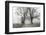 Sparks Lane, Late Autumn-Nicholas Bell-Framed Photographic Print