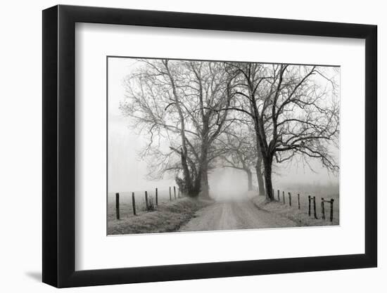Sparks Lane, Late Autumn-Nicholas Bell-Framed Photographic Print