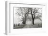 Sparks Lane, Late Autumn-Nicholas Bell-Framed Photographic Print