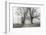 Sparks Lane, Late Autumn-Nicholas Bell-Framed Photographic Print