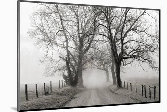 Sparks Lane, Late Autumn-Nicholas Bell-Mounted Photographic Print