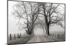 Sparks Lane, Late Autumn-Nicholas Bell-Mounted Photographic Print