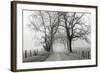 Sparks Lane, Late Autumn-Nicholas Bell-Framed Photographic Print