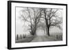 Sparks Lane, Late Autumn-Nicholas Bell-Framed Photographic Print