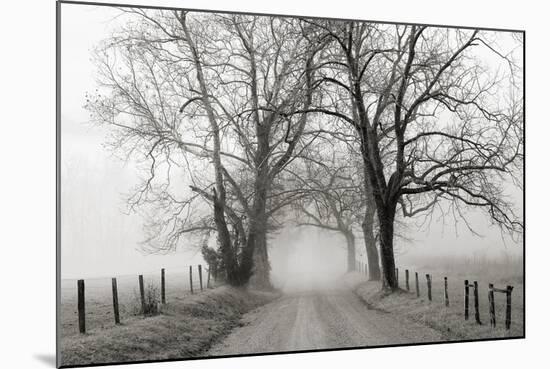Sparks Lane, Late Autumn-Nicholas Bell-Mounted Photographic Print