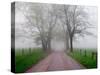 Sparks Lane on Foggy Morning, Cades Cove, Great Smoky Mountains National Park, Tennessee, USA-Adam Jones-Stretched Canvas