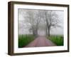 Sparks Lane on Foggy Morning, Cades Cove, Great Smoky Mountains National Park, Tennessee, USA-Adam Jones-Framed Premium Photographic Print
